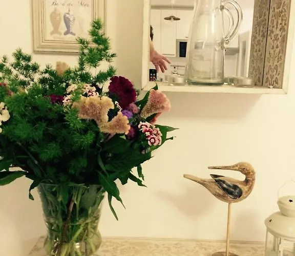 Chateau - Vieux Nice
