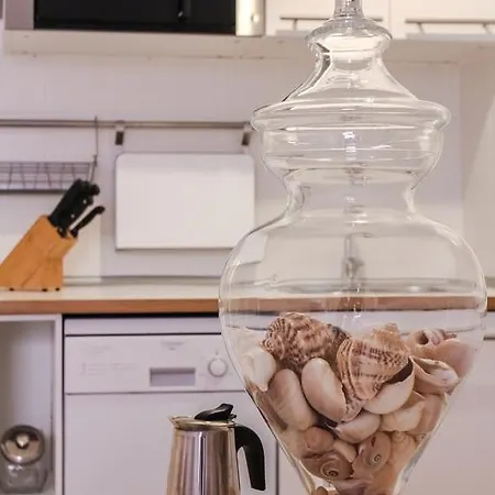 Chateau - Vieux Apartament Nicea