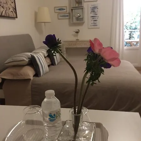 Chateau - Vieux Apartament