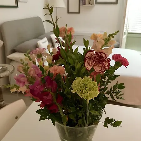 Chateau - Vieux Apartament Nicea