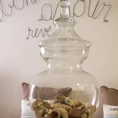 Chateau - Vieux * Νίκαια