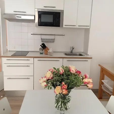 Chateau - Vieux Νίκαια