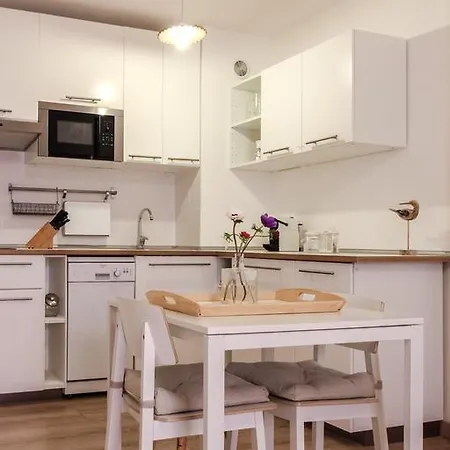 Chateau - Vieux Apartment Nizza