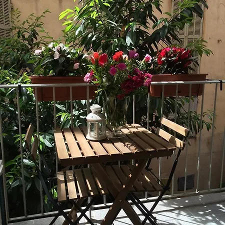 Chateau - Vieux * Nizza